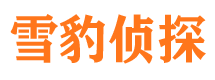 疏勒市私人调查